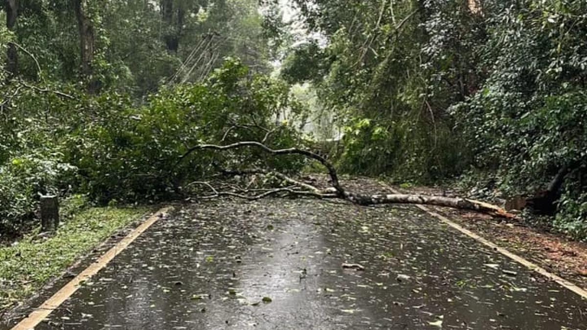 32 houses damaged in rain-related incidents in Udupi, Dakshina Kannada