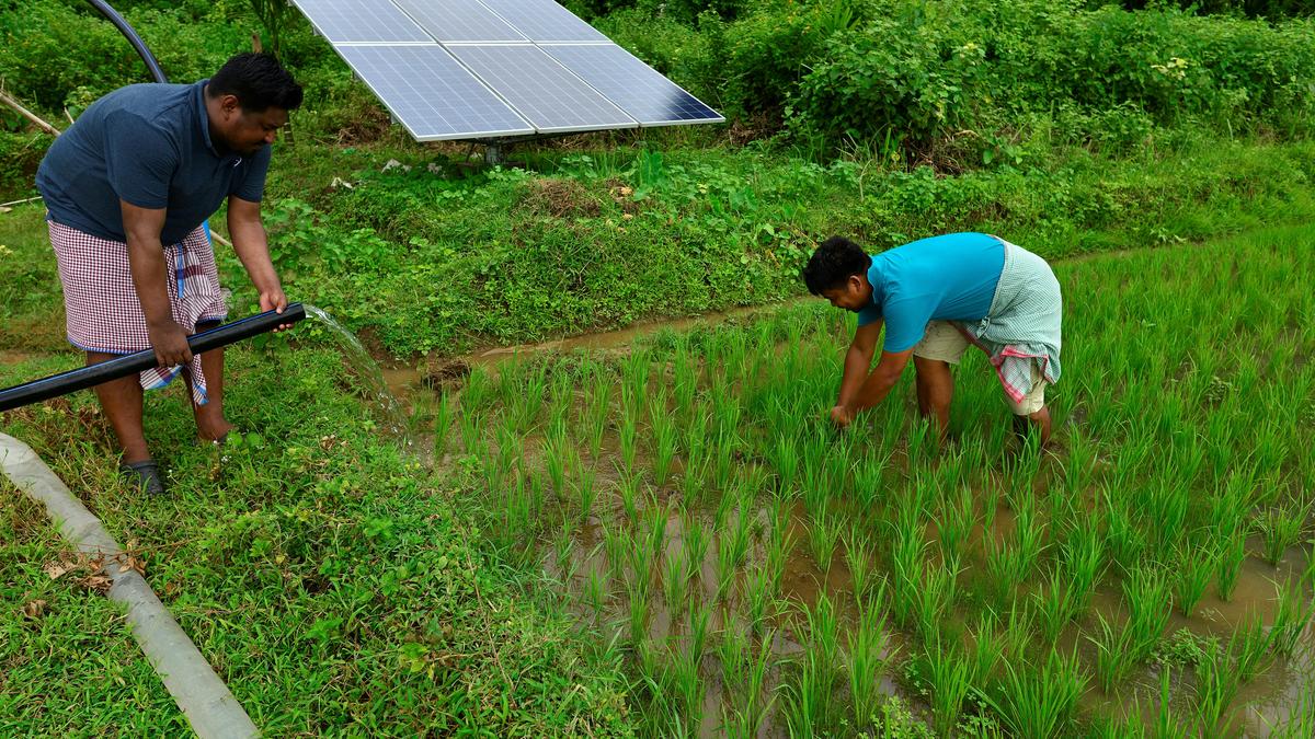 Budget 2026: Karnataka to push renewable energy with new scheme under KUSUM-C model, boost solar and EV charging infrastructure