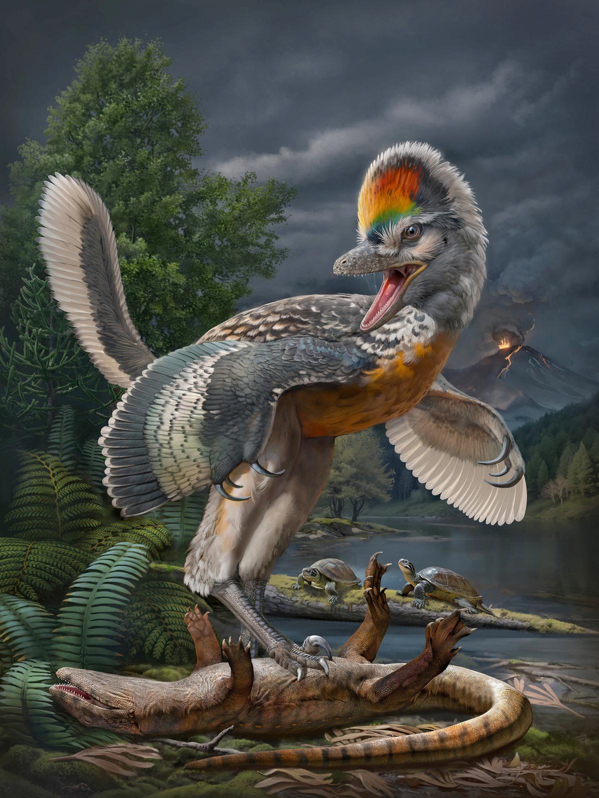 Een vreemde vogelachtige dinosaurus heeft indruk gemaakt op wetenschappers