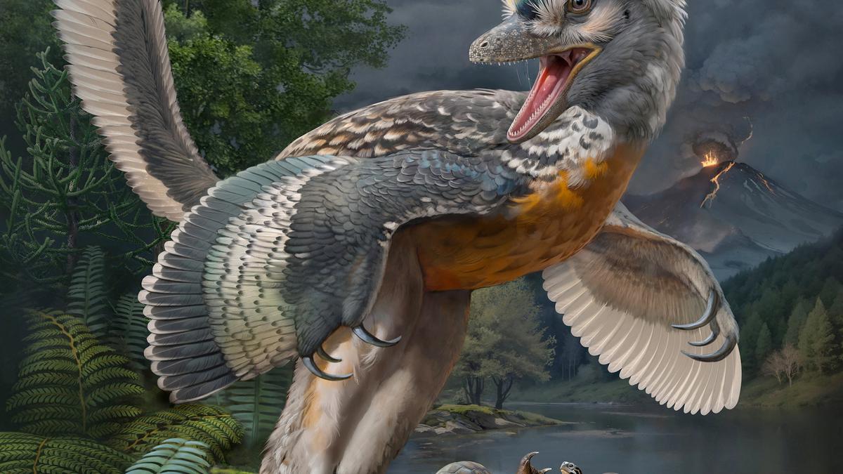 Bizarre’ bird-like dinosaur has scientists enthralled 