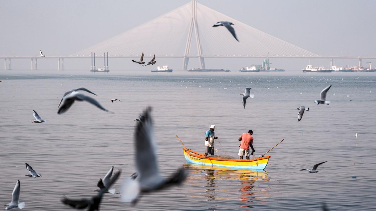 Maharashtra to start drone surveillance of coasts to prevent illegal fishing