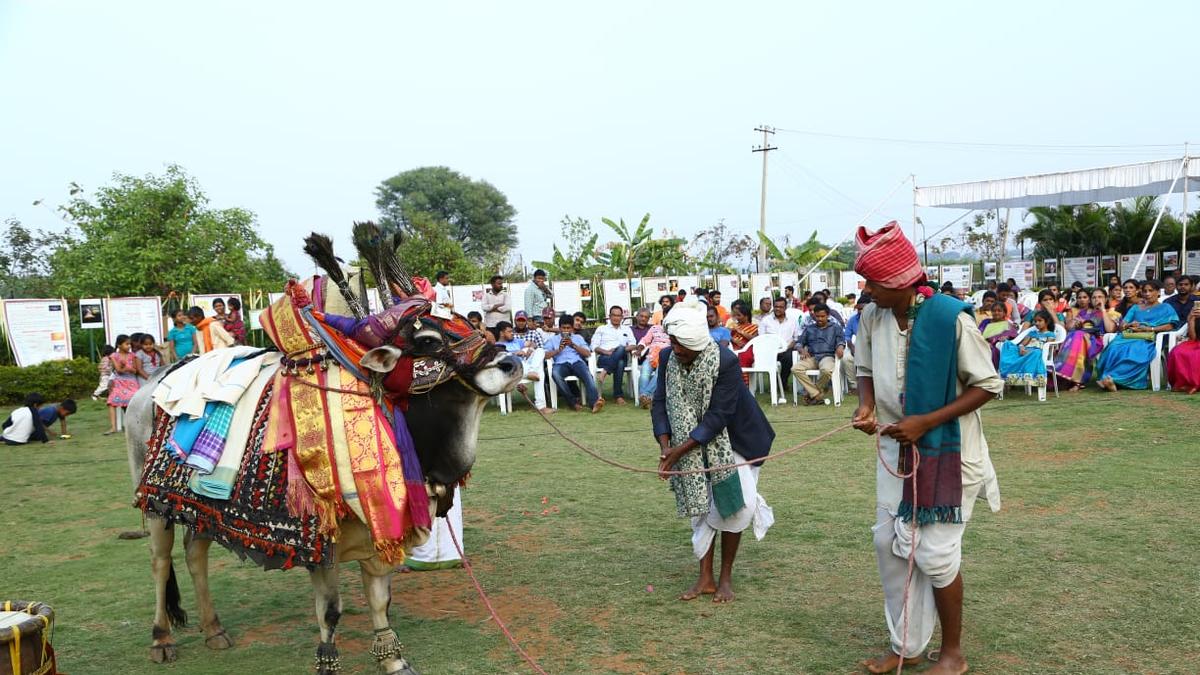 Rise of community-driven cultural events for Sankranti in Hyderabad