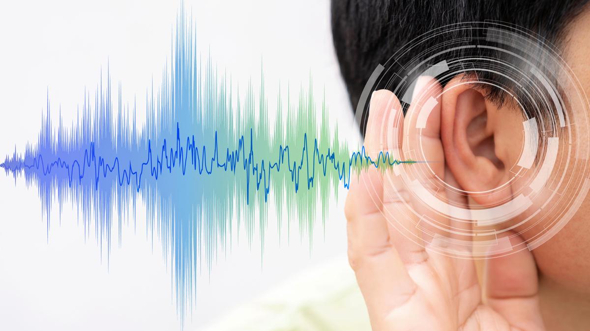 How do echoes take place?