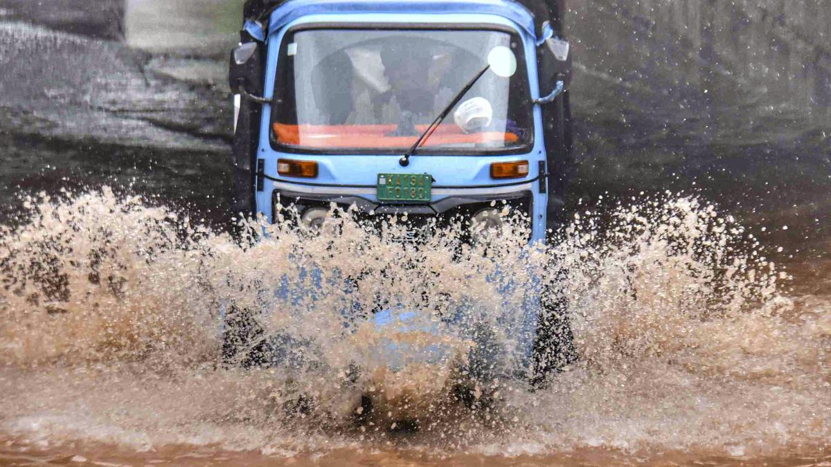 Heavy rain in Karnataka coastal belt till June 1, says IMD
