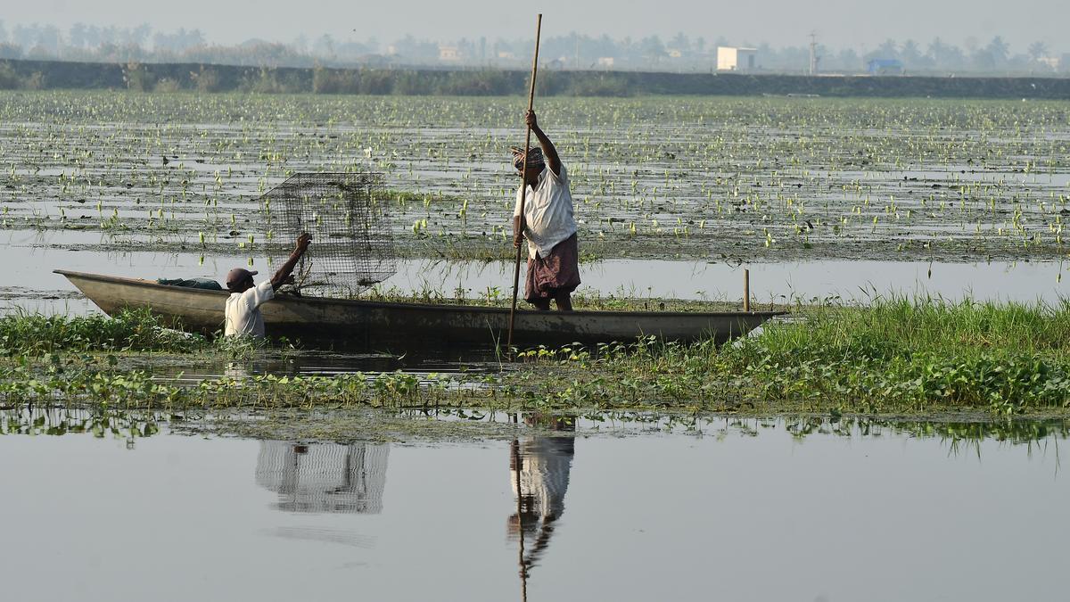Meet demands revocation of G.O. 120, protection of interests of people living around Kolleru Lake