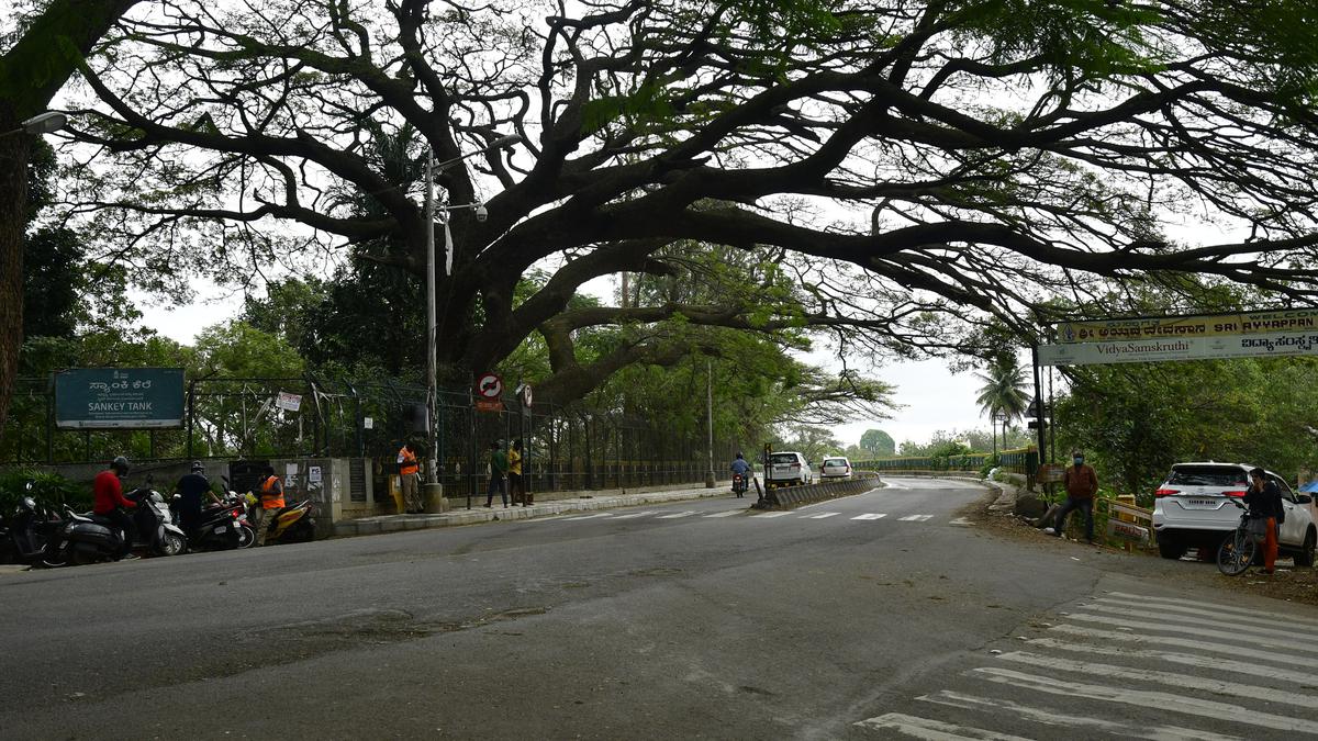Environmental impact assessment reveals 55 trees will be cut for Sankey Road flyover project