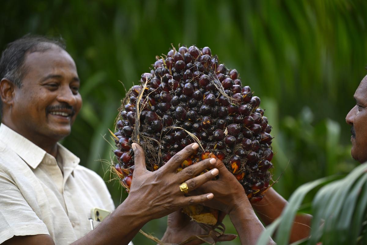 Farmer G.Srider Reddy (left) with his harvest.
Farmer G.Srider Reddy (left) with his harvest.