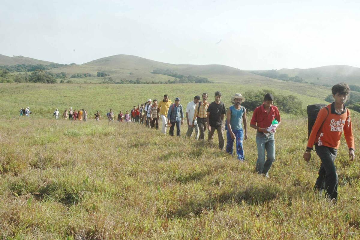 Trekkers at one of the Western Ghat ranges in Kodagu.