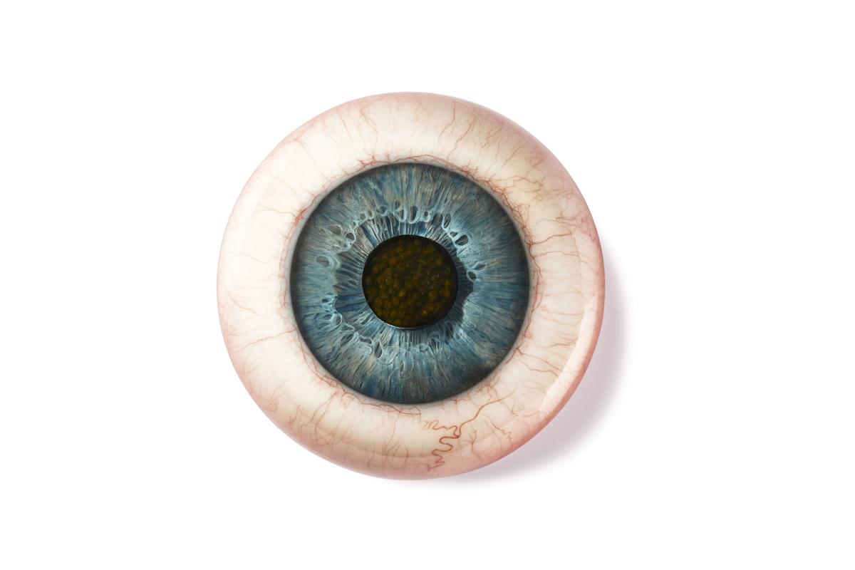 1984 उपन्यास से प्रेरित व्यंजन 