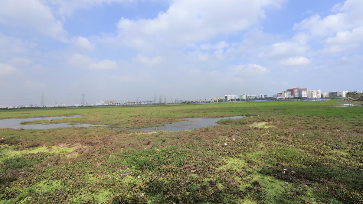 Is there a change in the water dynamics at Perumbakkam wetland?