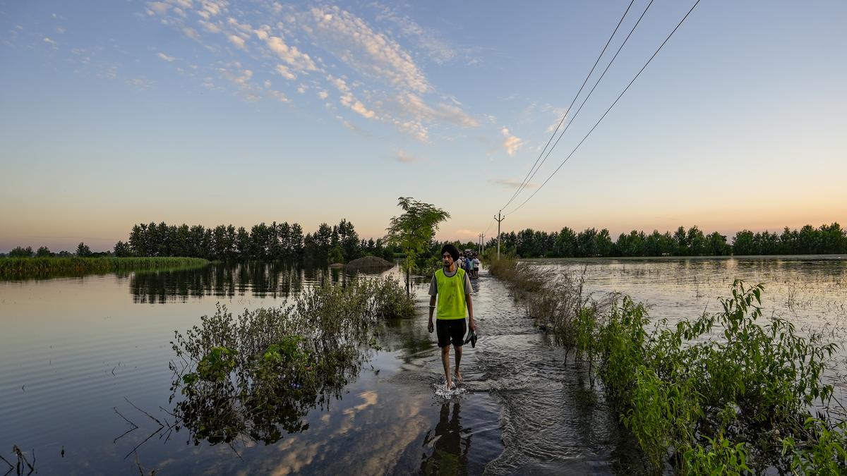 Punjab floods leave farmers stranded between two seasons