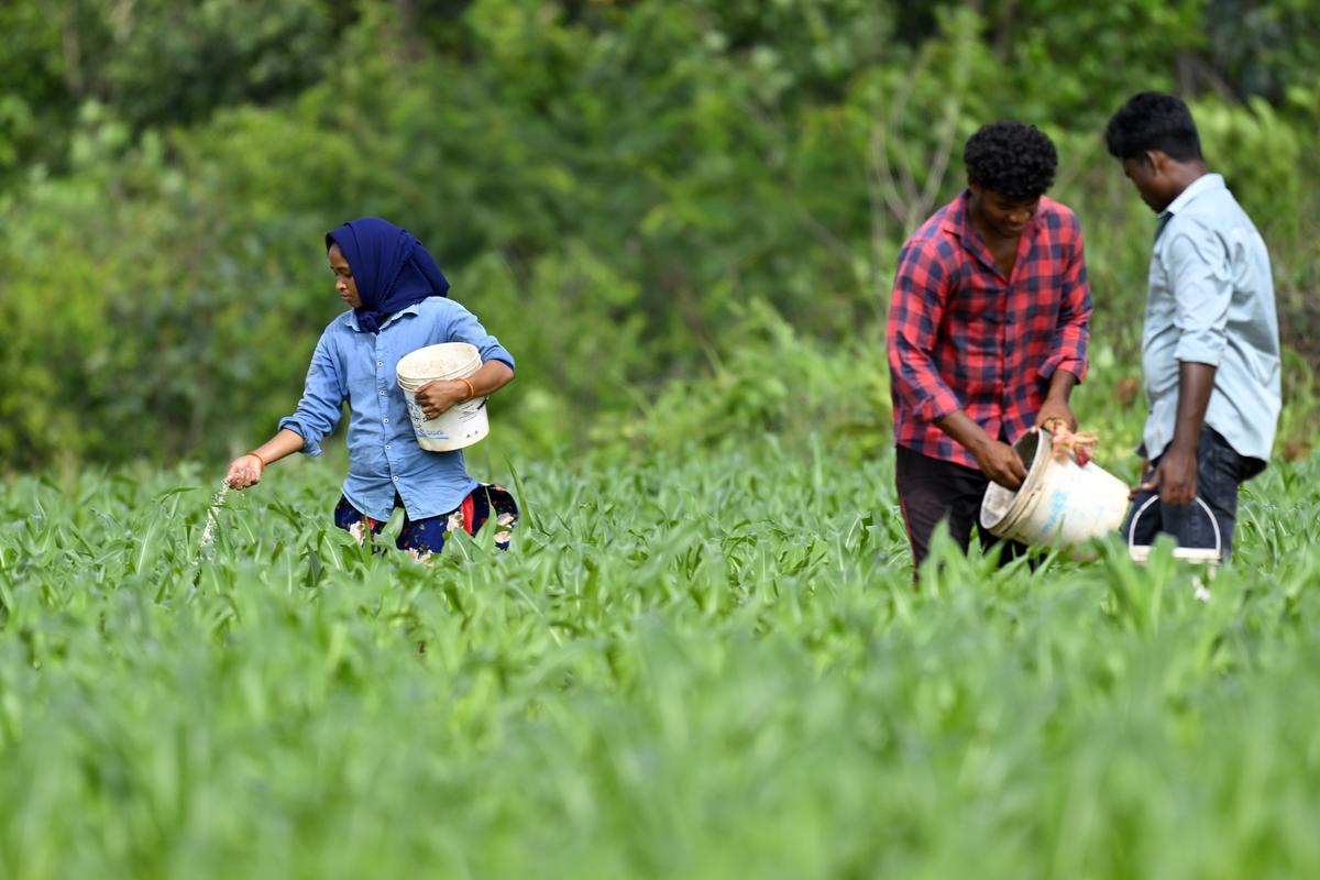 The prime contributors to the growth in the State domestic product have been agriculture and allied sectors at ₹2.12 lakh crore, trade, repair, hotels & restaurants at ₹2.59 lakh crore, manufacturing (₹1.08 lakh crore) and construction ₹73.191 crore. The prime contributors to the growth in the State domestic product have been agriculture and allied sectors at ₹2.12 lakh crore, trade, repair, hotels & restaurants at ₹2.59 lakh crore, manufacturing (₹1.08 lakh crore) and construction ₹73.191 crore.