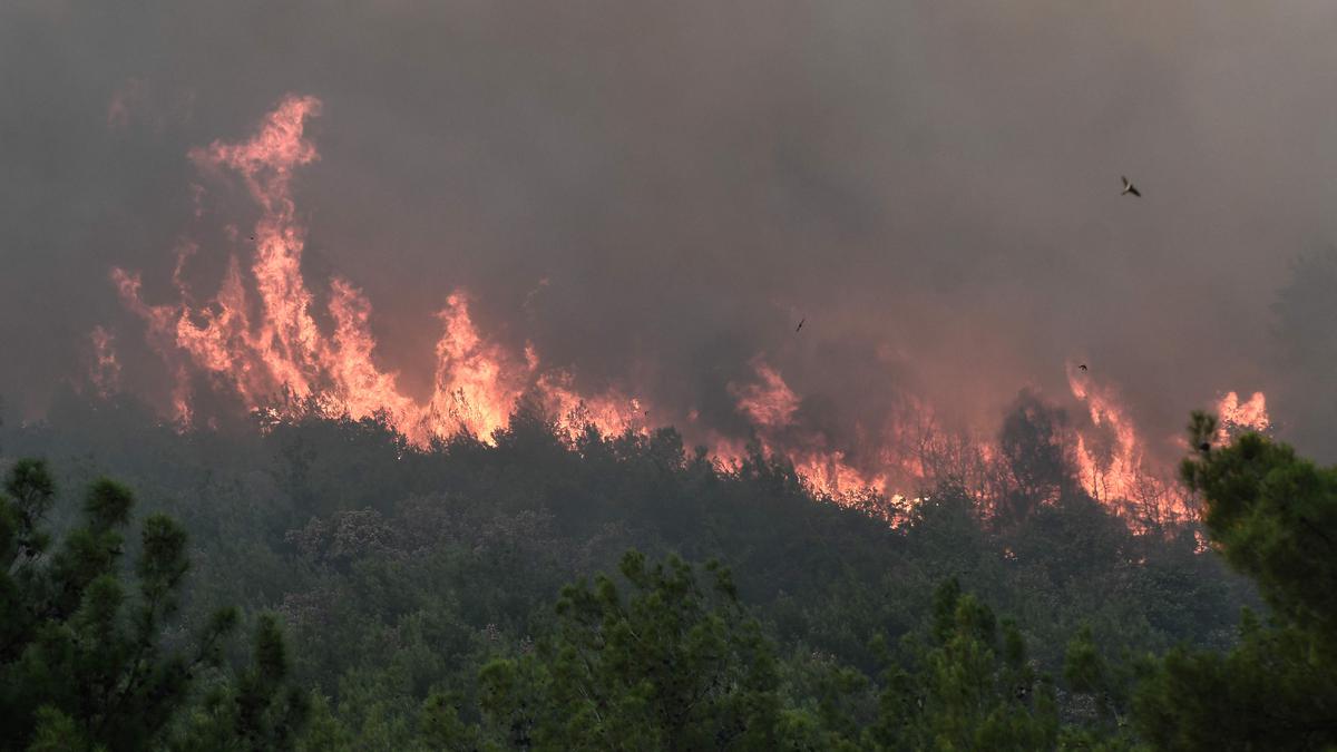 How climate change is making the world sick