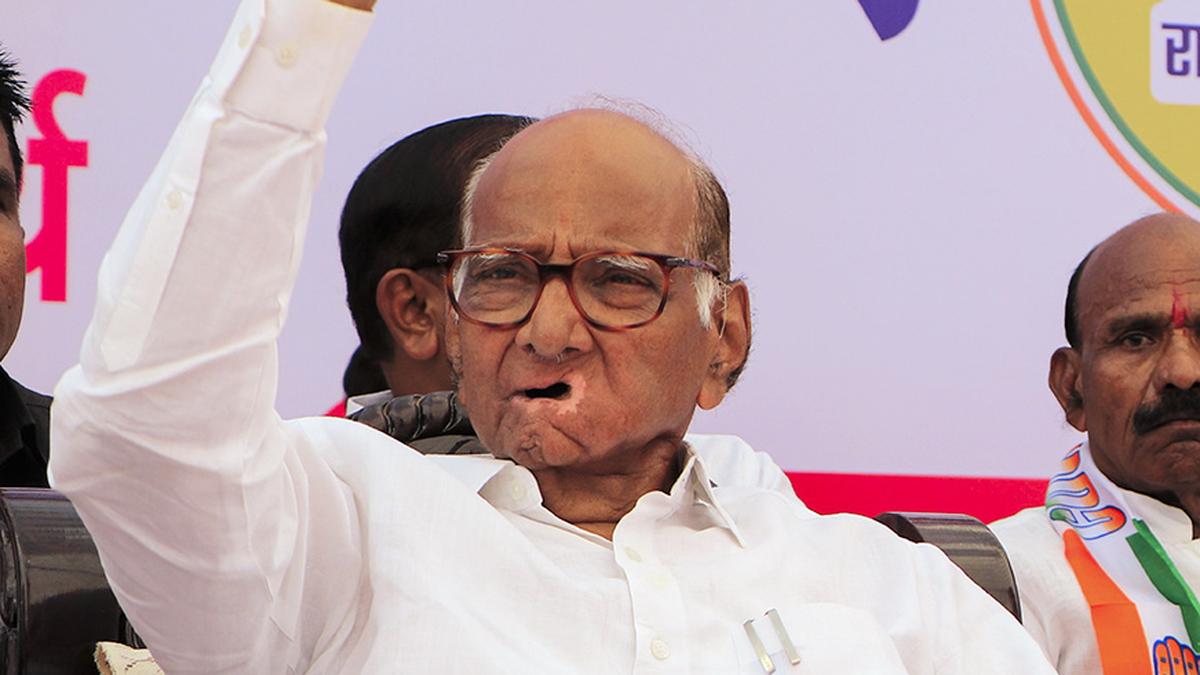 Sharad Pawar forced to halt campaigning after punishing schedule takes toll