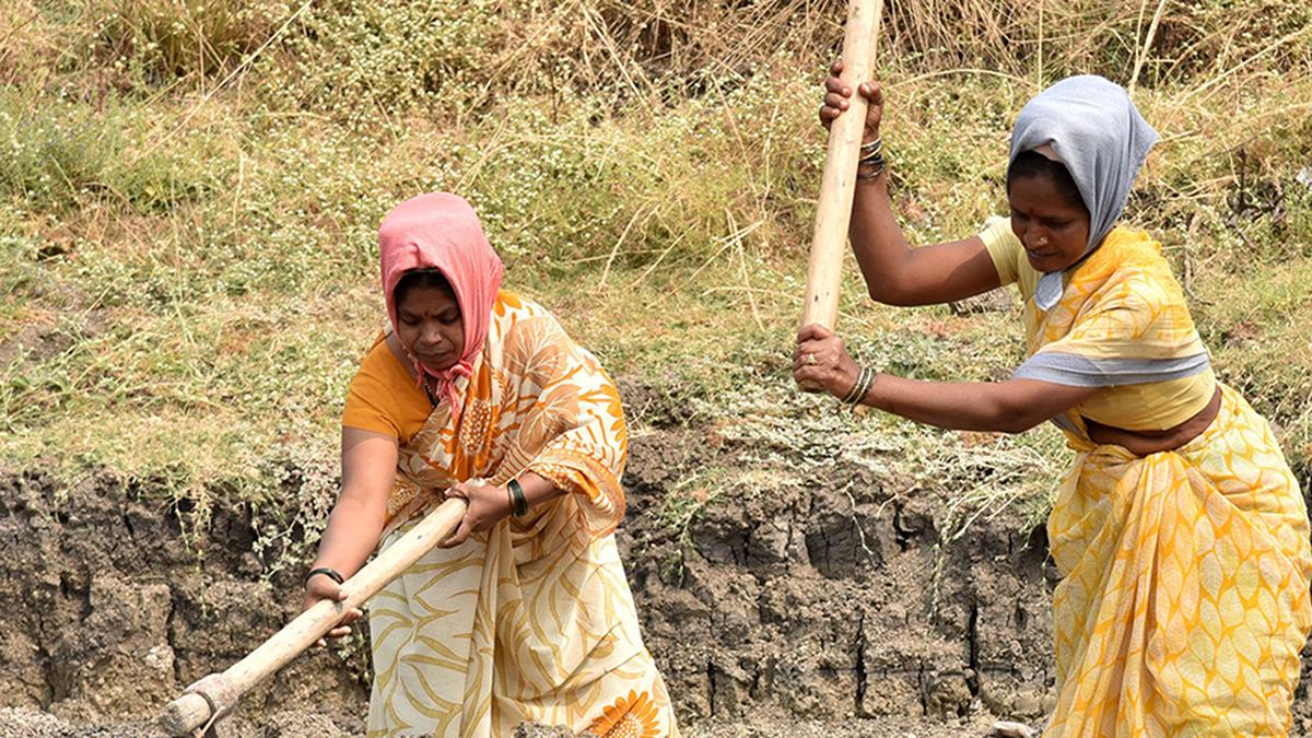 Fall and rise in women’s work participation