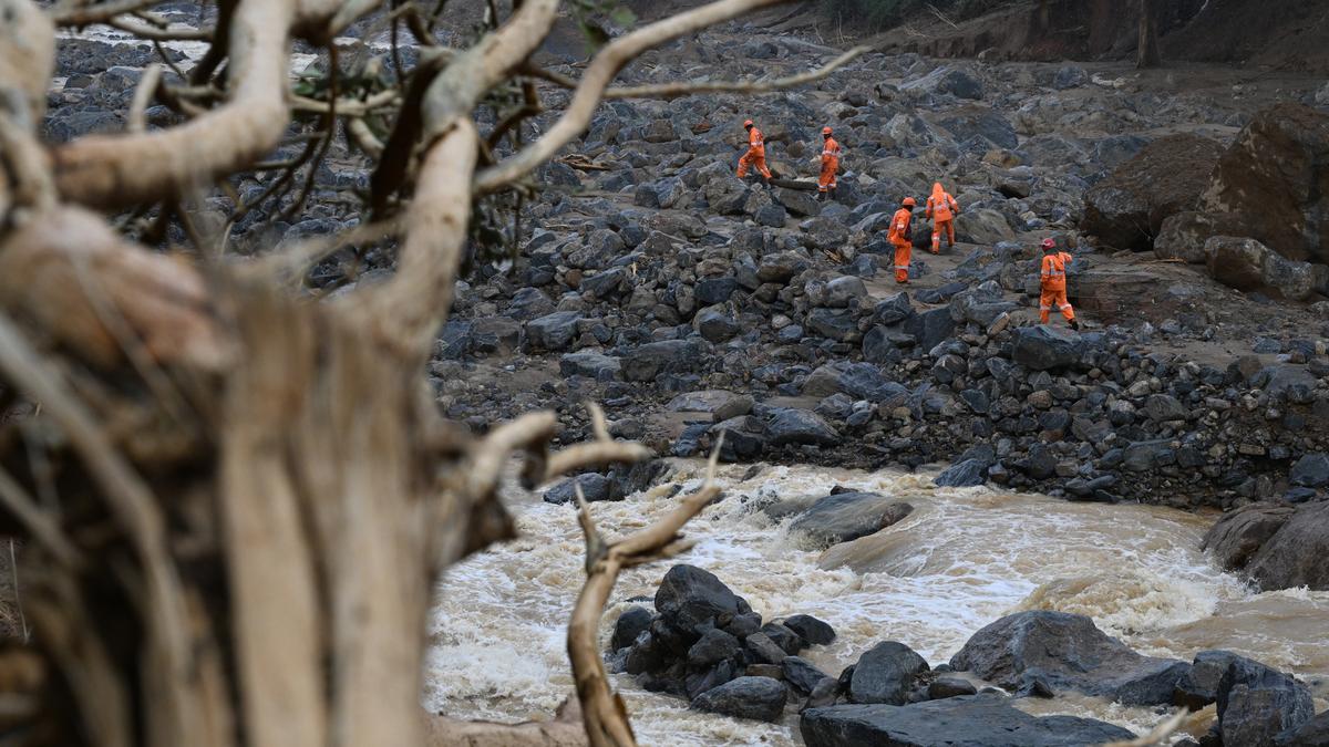 Wayanad landslide: Rescue operations stepped up as death toll crosses 200