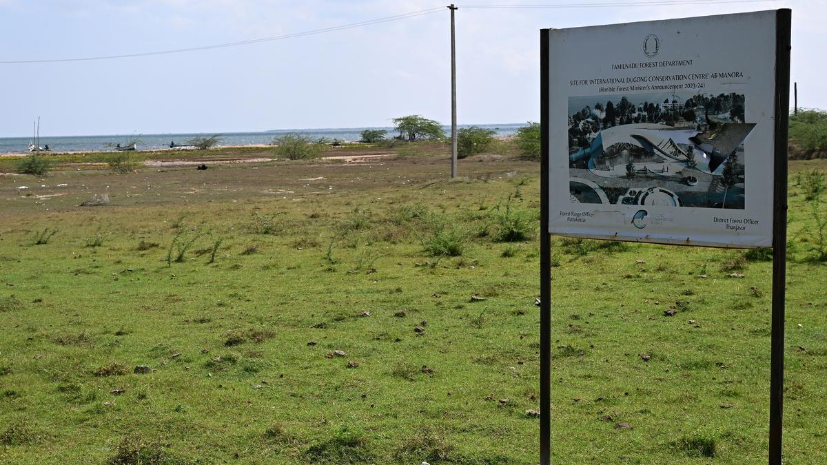 Dugong conservation centre being planned in ‘No-Development Zone’ sparks concern