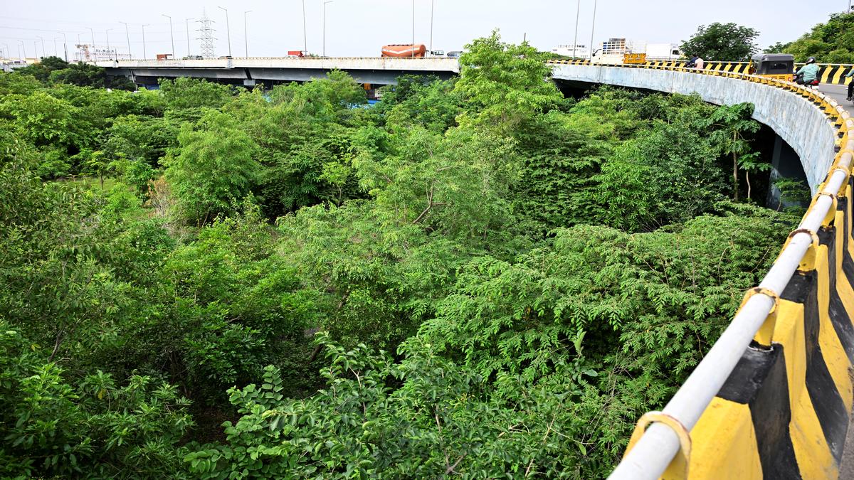 NHAI submits proposal to green committee for cutting down nearly 2,200 trees near Maduravoyal for port expressway