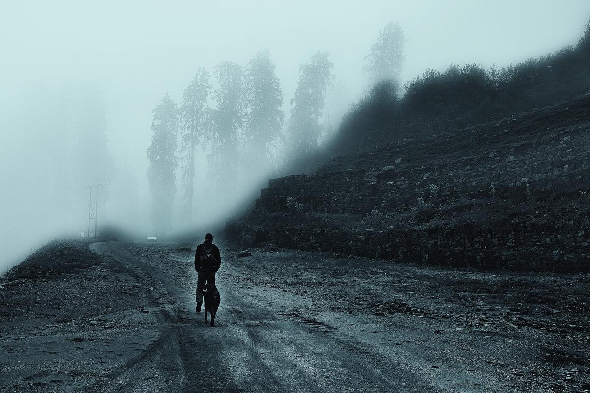 माउंटेल्स एंड मुगिल से एक तस्वीर माउंटेल्स एंड मुगिल से एक तस्वीर