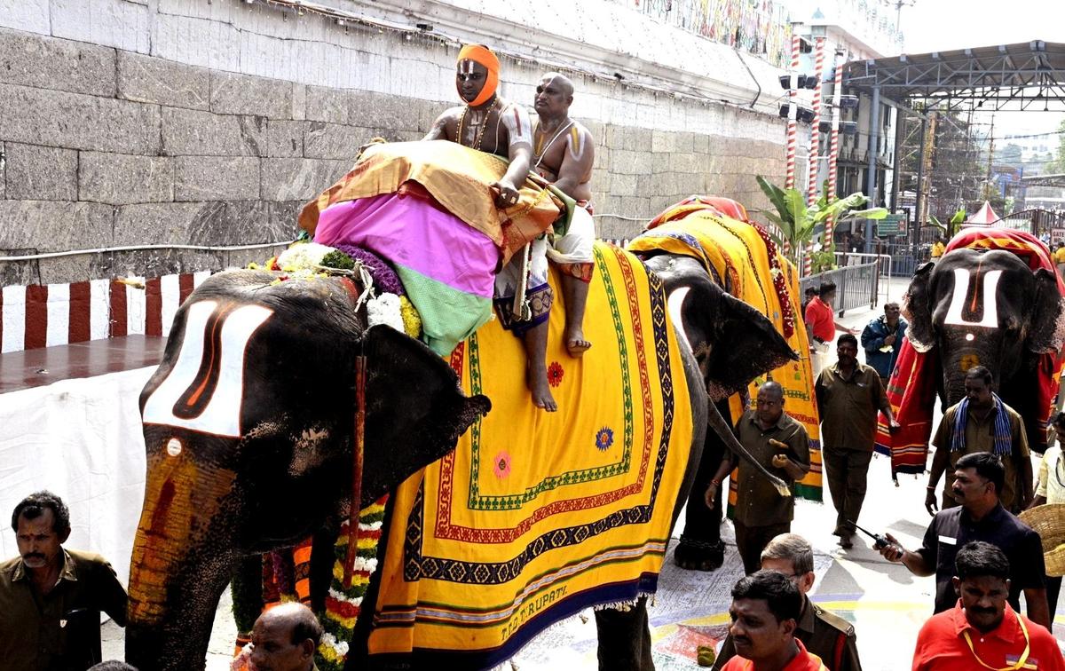 মঙ্গলবার শ্রী পদ্মাবতী আম্মাভারী মন্দিরে তিরুমালা মন্দির থেকে তিরুচানুর পর্যন্ত একটি হাতিতে চড়ে পুরোহিতেরা 'পড়ি', একটি পবিত্র নৈবেদ্য বহন করে৷