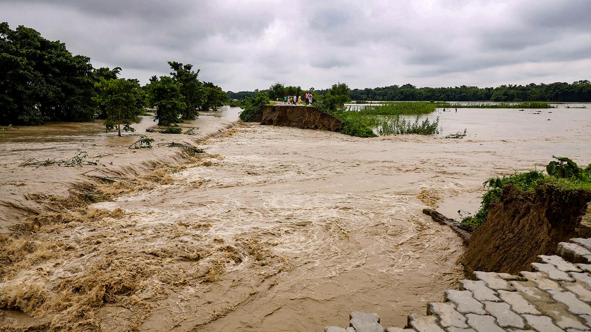 Flood situation in Assam remains grim; around 5 lakh affected