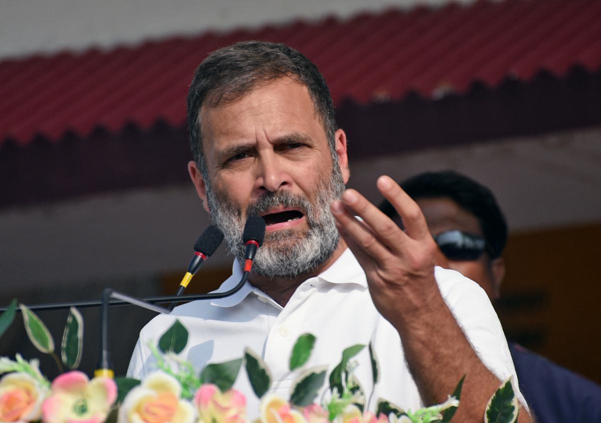 Rahul Gandhi heading to constituency Wayanad in Kerala in wake of public  protests against wildlife attacks - The Hindu