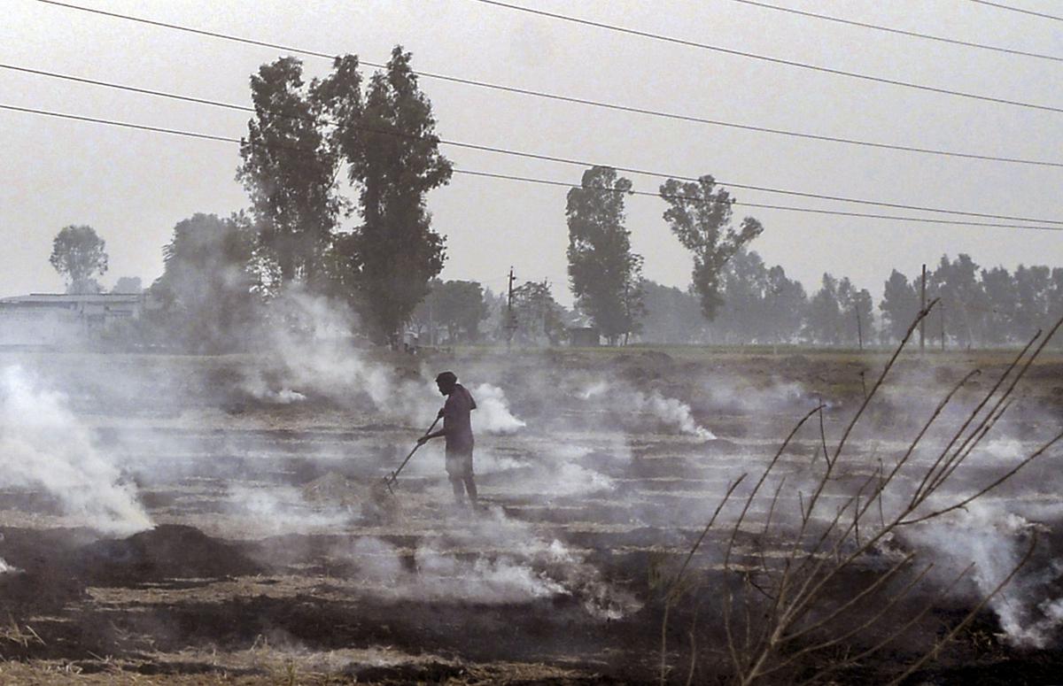 Stubble burning share rises to 26%