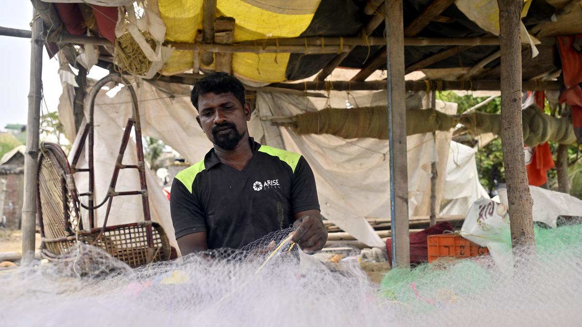 Madras week | Life in the day of a fisherman