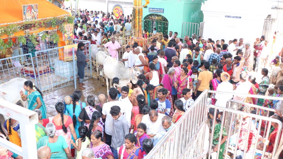 Three-day Maha Shivaratri Jatara in Vemulawada from February 17