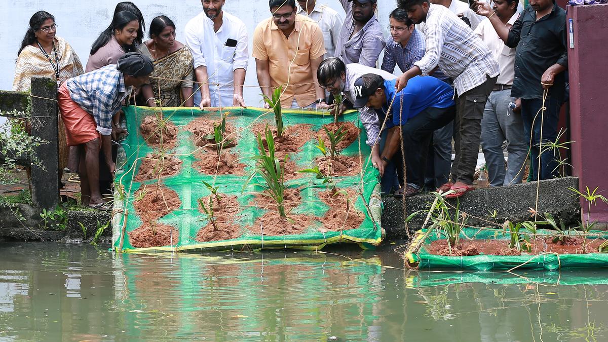 Floating treatment wetlands launched in Kochi
