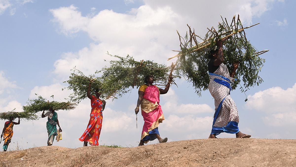 T.N. not hit by Centre’s move to make Aadhaar-linked paymandatory for MGNREGS workers