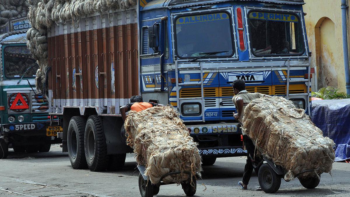 Calcutta HC asks Jute Commissioner to review rate of raw jute