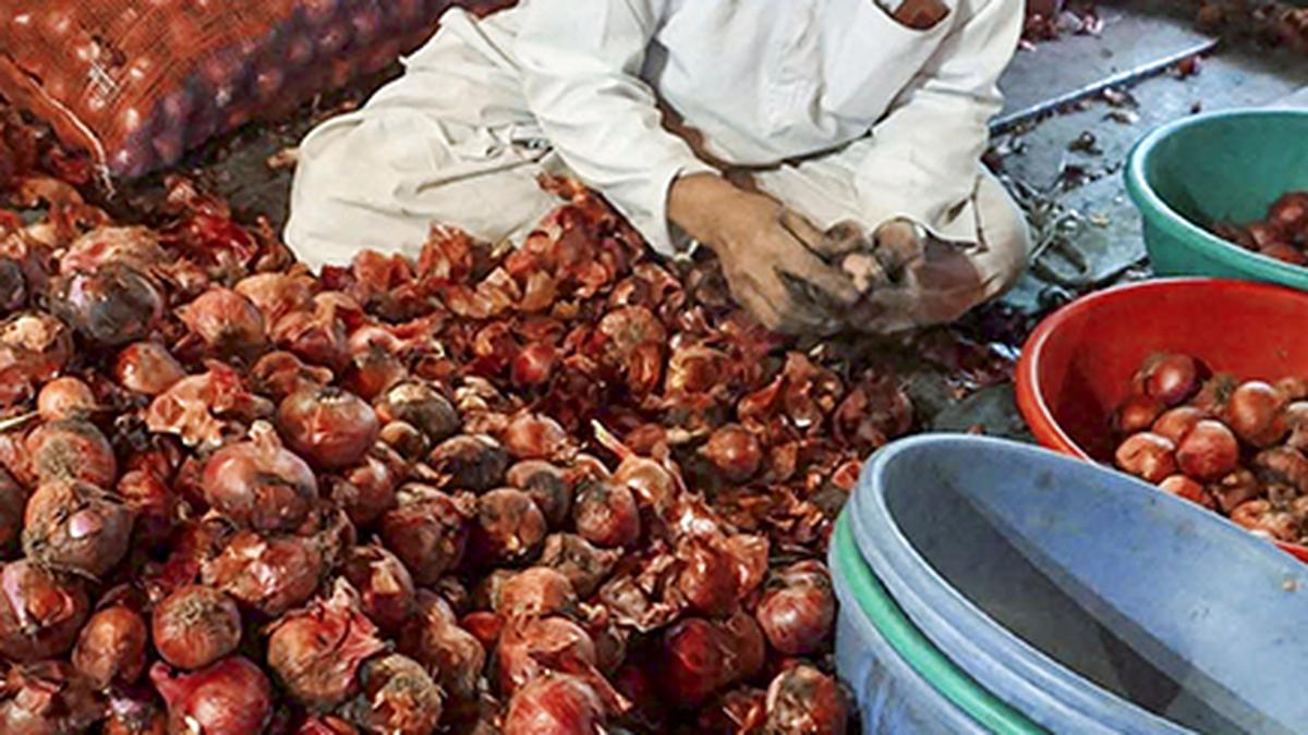 Ajit Pawar urges Centre to scrap 20% onion export duty, citing farmers’ plight