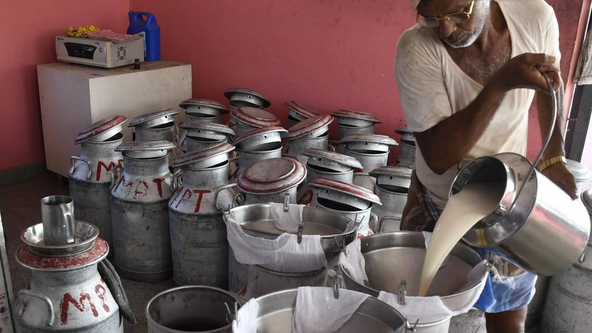 With rise in milk procurement and piling up of powder, district unions struggle to make up losses