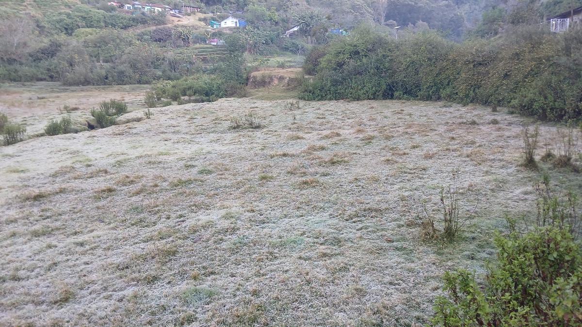 Tourist influx continues as Munnar records -1&deg;C again