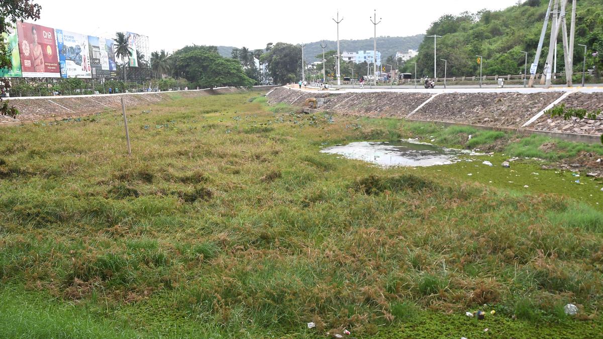 New government should focus on revival of water bodies in Visakhapatnam, say environmentalists
