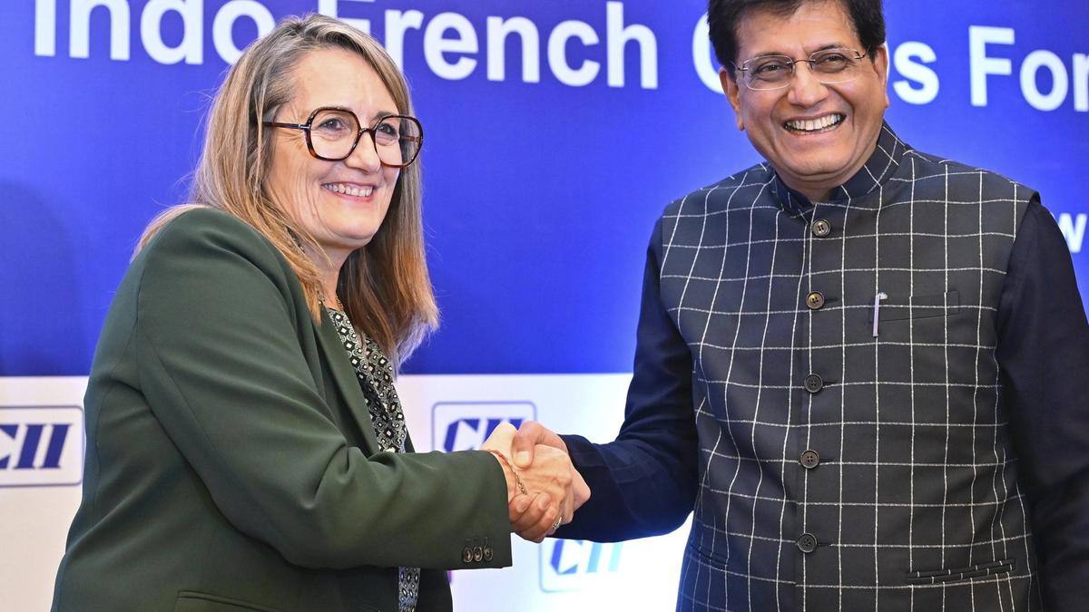 Time to upgrade Indo-French trade relations: Commerce Minister Goyal