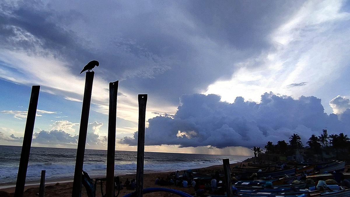 Season’s first cyclone takes shape in the Arabian Sea