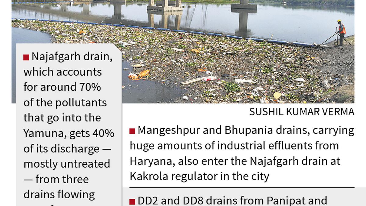 Delhi, Haryana officials to work in coordination to clean polluted Yamuna