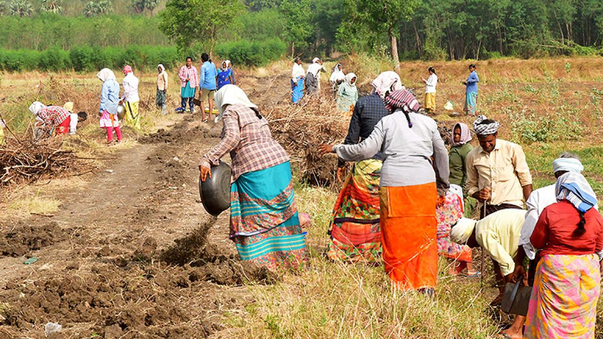 Union Budget 2025: Cruel attempts to throttle MGNREGA must end, says Congress