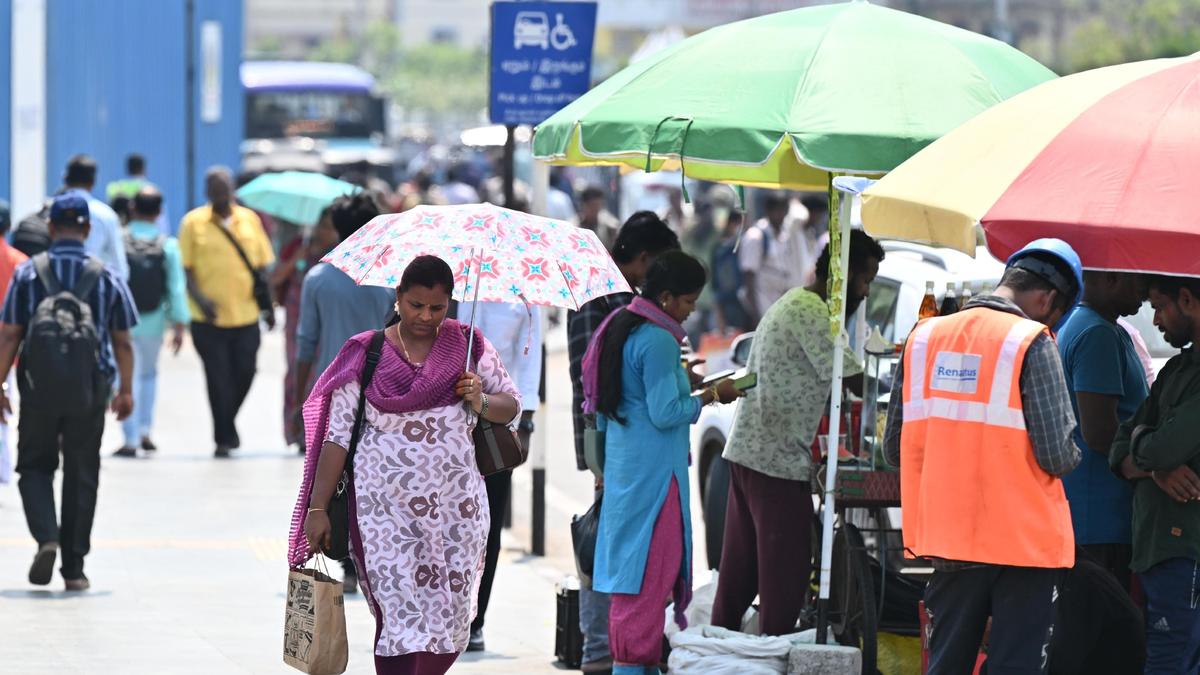Tamil Nadu to witness hotter May; above normal rainfall could offer relief: IMD
