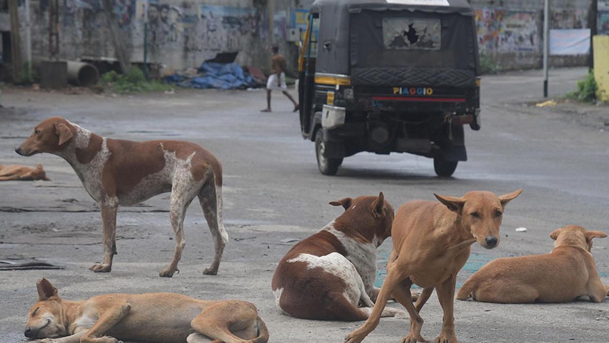 Man, son die of rabies after pet dog bites them in Visakhapatnam