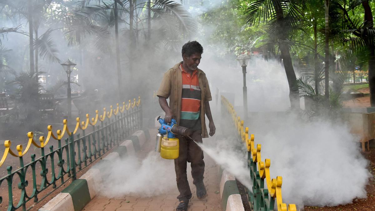 Karnataka Health Department calls for preventive measures to check spread of dengue