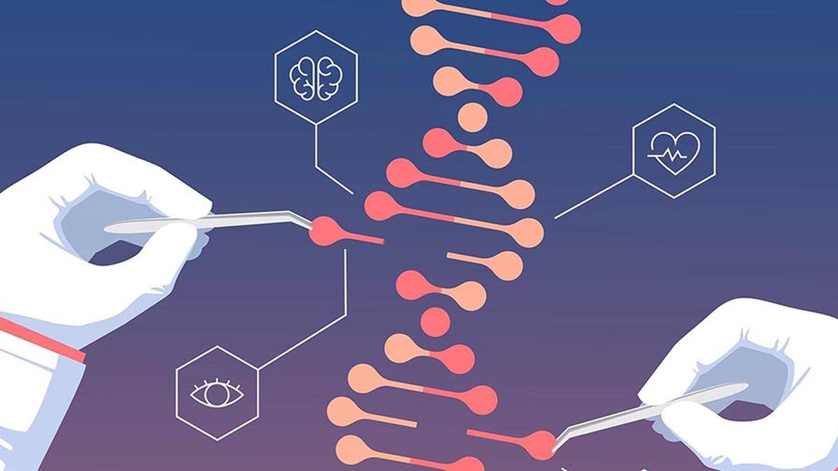 Can gene editing help with genetic eye conditions? A new study explores the possibility