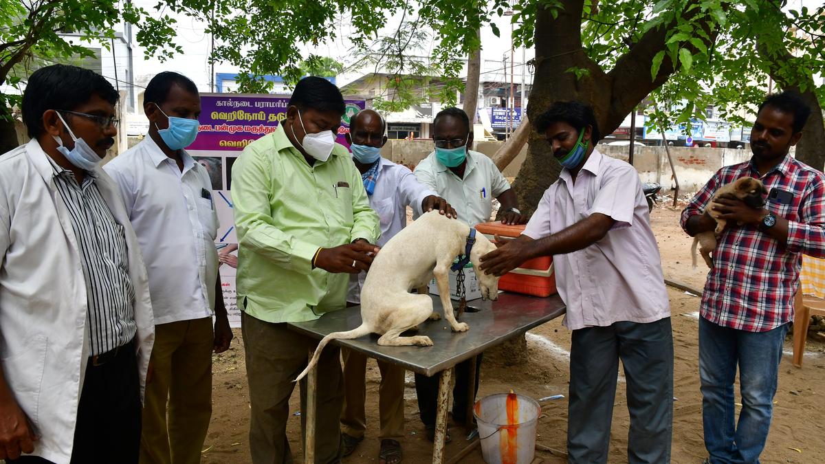 New guidelines promote Ayurveda, regulate use of antibiotics in veterinary treatment