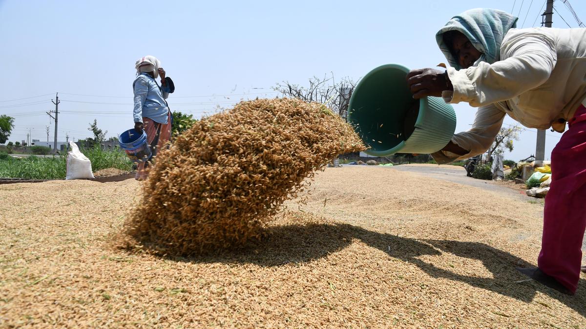 A.P. govt. has procured 8.22 lakh metric tonnes of paddy, says Minister