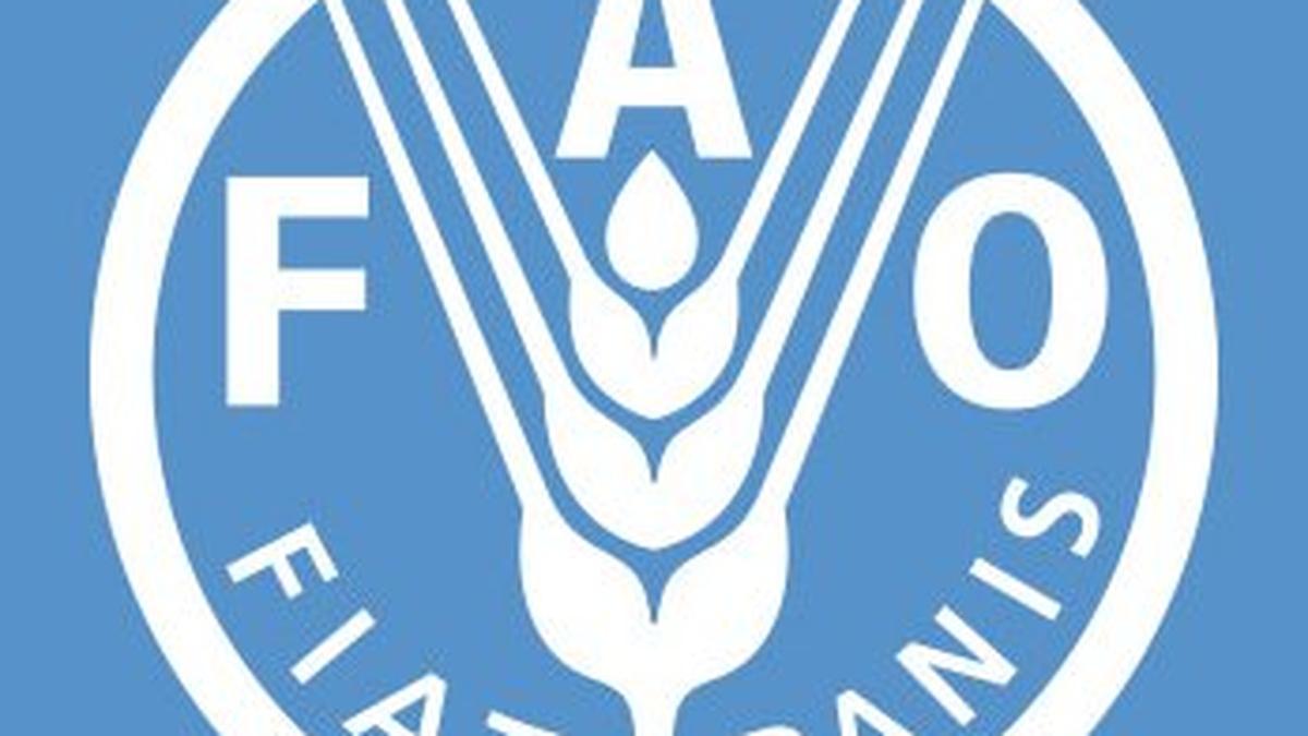 Global food prices in 2022 hit record high amid drought, war