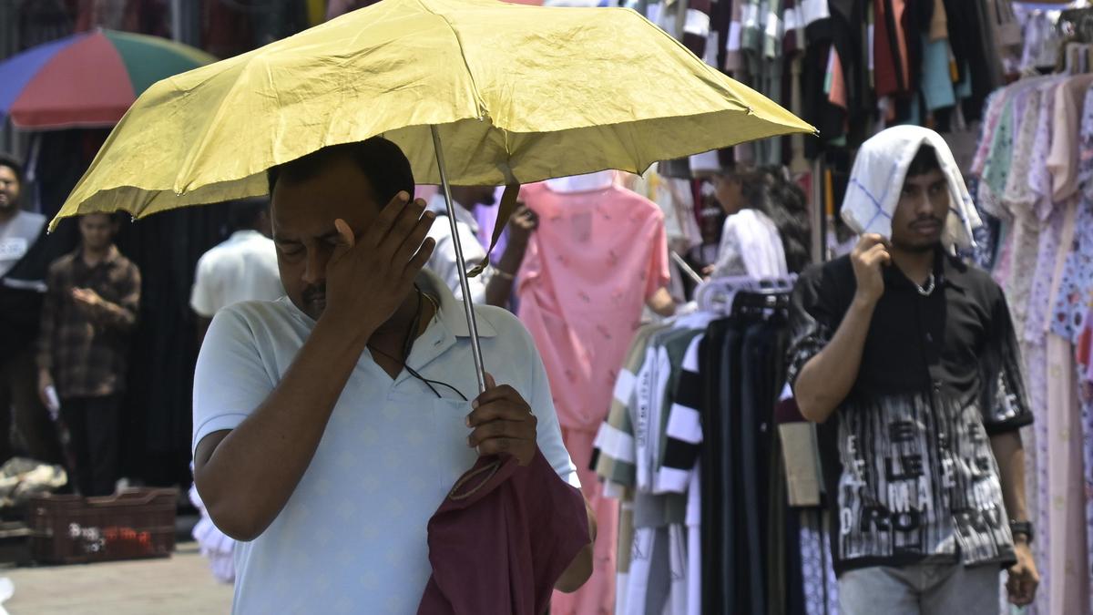 Sixteen Telangana districts record temperatures above 46 degree Celsius as heat intensifies