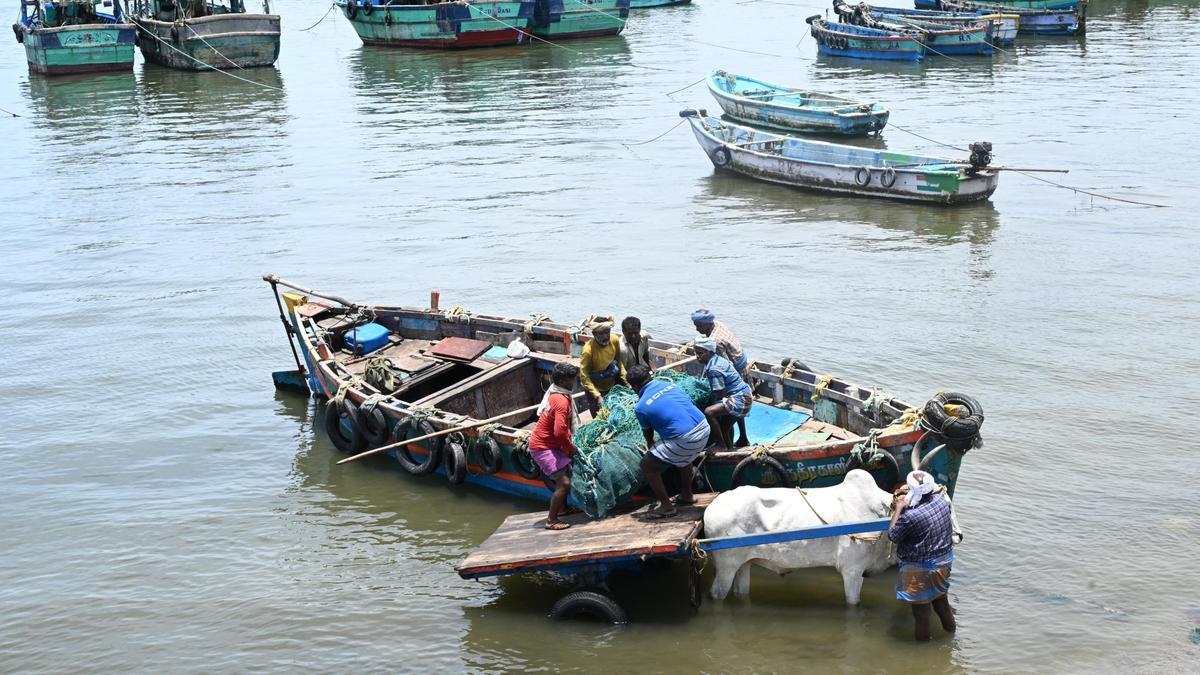 Annual fishing ban commences in coastal Tamil Nadu from April 15