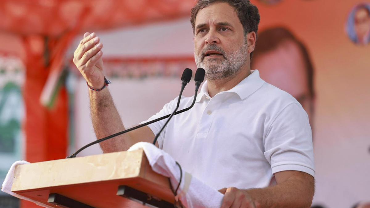 Allahabad HC seeks report from CBI, ED disproportionate assets complaint against Rahul Gandhi